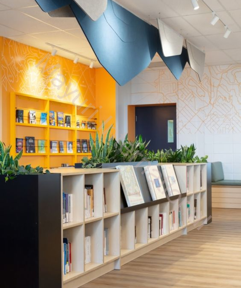 Book Shelves 