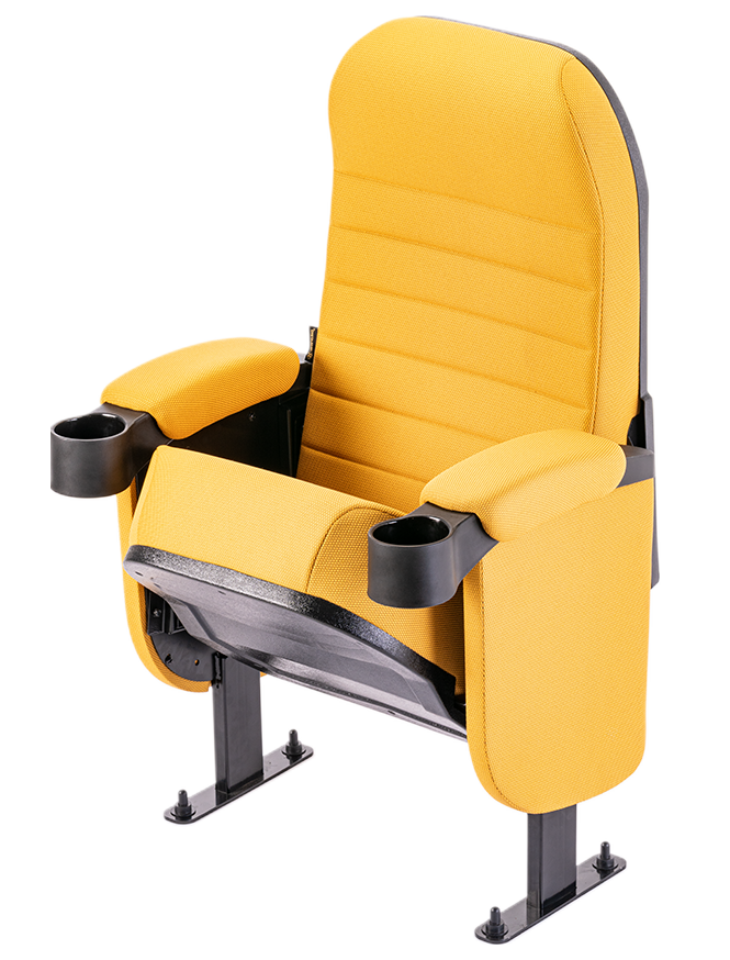 Auditorium Chairs