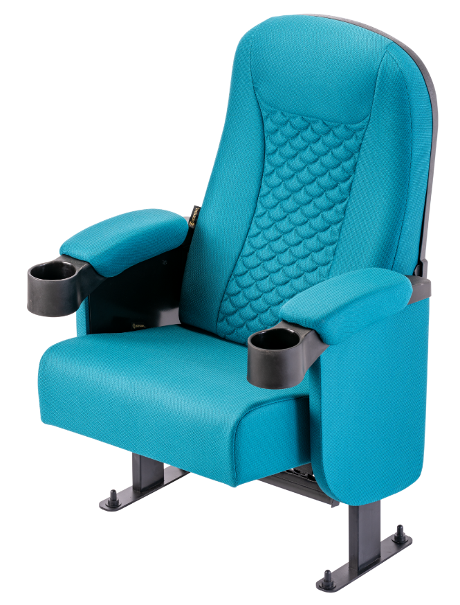 Auditorium Chairs
