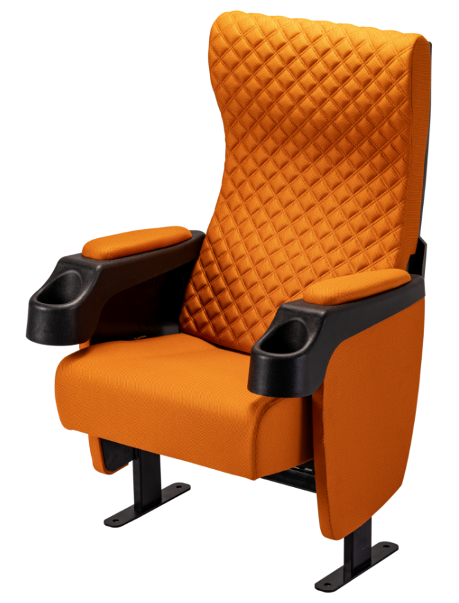 Auditorium Chairs
