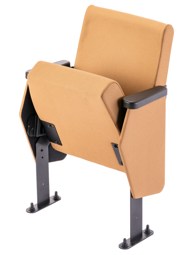 Auditorium Chairs